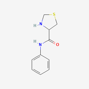 molecular formula C10H12N2OS B13249078 N-phenyl-1,3-thiazolidine-4-carboxamide 