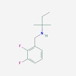 molecular formula C12H17F2N B13251232 [(2,3-Difluorophenyl)methyl](2-methylbutan-2-yl)amine 