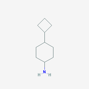 molecular formula C10H19N B13251246 4-Cyclobutylcyclohexan-1-amine 