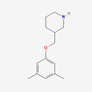 molecular formula C14H21NO B1325178 3-[(3,5-Dimethylphenoxy)methyl]piperidine CAS No. 946787-35-5