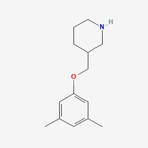 3-[(3,5-Dimethylphenoxy)methyl]piperidine