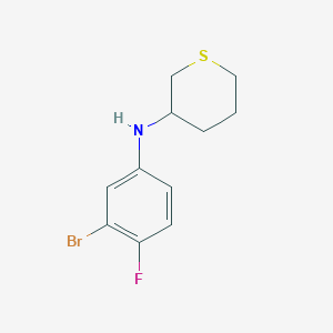molecular formula C11H13BrFNS B13252422 N-(3-Bromo-4-fluorophenyl)thian-3-amine 