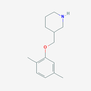 3-[(2,5-Dimethylphenoxy)methyl]piperidine