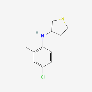 molecular formula C11H14ClNS B13254708 N-(4-chloro-2-methylphenyl)thiolan-3-amine 