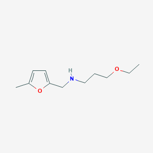 molecular formula C11H19NO2 B13255894 (3-Ethoxypropyl)[(5-methylfuran-2-yl)methyl]amine 