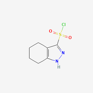 molecular formula C7H9ClN2O2S B13257005 4,5,6,7-Tetrahydro-2H-indazole-3-sulfonyl chloride 