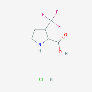 molecular formula C6H9ClF3NO2 B13257176 3-(Trifluoromethyl)pyrrolidine-2-carboxylic acid hydrochloride 