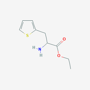 molecular formula C9H13NO2S B13258736 Ethyl 2-amino-3-(thiophen-2-YL)propanoate 