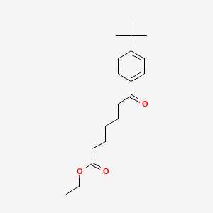 molecular formula C19H28O3 B1325948 Ethyl 7-(4-T-butylphenyl)-7-oxoheptanoate CAS No. 898778-47-7