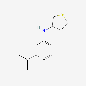molecular formula C13H19NS B13260309 N-[3-(Propan-2-yl)phenyl]thiolan-3-amine 