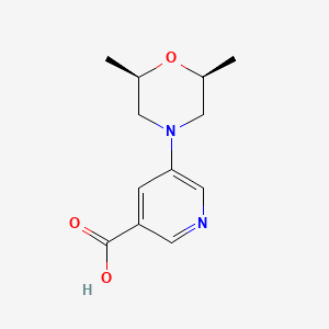 molecular formula C12H16N2O3 B13261431 5-[(2R,6S)-2,6-Dimethylmorpholin-4-yl]pyridine-3-carboxylic acid 
