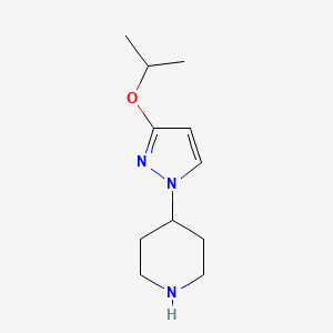 molecular formula C11H19N3O B13262563 4-[3-(Propan-2-yloxy)-1H-pyrazol-1-yl]piperidine 