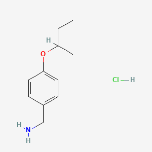 molecular formula C11H18ClNO B1326272 [4-(仲丁氧基)苯基]甲胺盐酸盐 CAS No. 37806-46-5