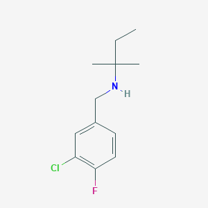molecular formula C12H17ClFN B13262751 [(3-Chloro-4-fluorophenyl)methyl](2-methylbutan-2-yl)amine 