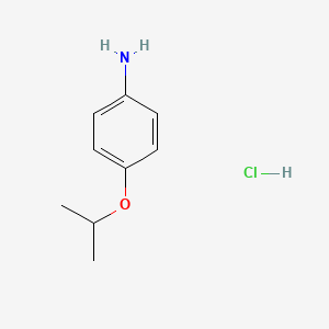 molecular formula C9H14ClNO B1326282 4-异丙氧基苯胺盐酸盐 CAS No. 222637-85-6