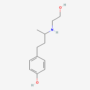 molecular formula C12H19NO2 B13263262 4-{3-[(2-Hydroxyethyl)amino]butyl}phenol 