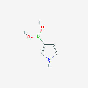 molecular formula C4H6BNO2 B1326331 3-Pyrrolylboronic acid CAS No. 763120-55-4