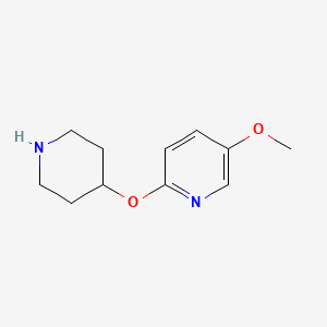 molecular formula C11H16N2O2 B13263388 5-Methoxy-2-(piperidin-4-yloxy)pyridine 