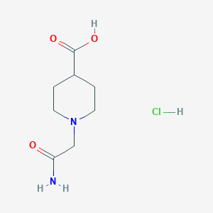 molecular formula C8H15ClN2O3 B13264026 1-(2-Amino-2-oxoethyl)piperidine-4-carboxylic acid hydrochloride 