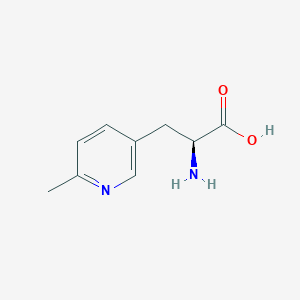 molecular formula C9H12N2O2 B13264156 (2S)-2-amino-3-(6-methylpyridin-3-yl)propanoic acid 