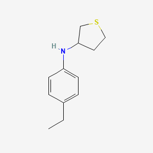 molecular formula C12H17NS B13264314 N-(4-ethylphenyl)thiolan-3-amine 