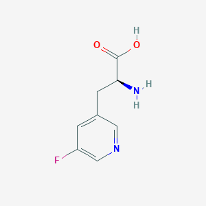 molecular formula C8H9FN2O2 B13264611 (2S)-2-amino-3-(5-fluoropyridin-3-yl)propanoic acid 