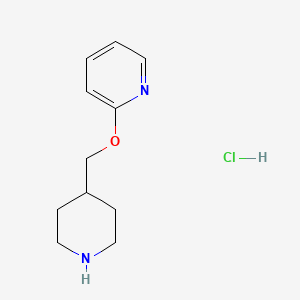 2-(Piperidin-4-ylmethoxy)-pyridine hydrochloride