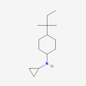 molecular formula C14H27N B13264806 N-cyclopropyl-4-(2-methylbutan-2-yl)cyclohexan-1-amine 