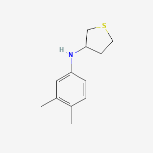 molecular formula C12H17NS B13265393 N-(3,4-dimethylphenyl)thiolan-3-amine 