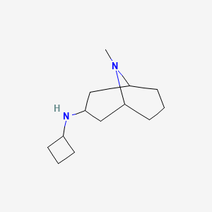 molecular formula C13H24N2 B13265395 N-cyclobutyl-9-methyl-9-azabicyclo[3.3.1]nonan-3-amine 