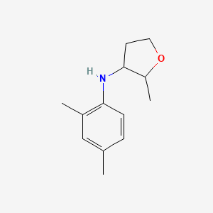 molecular formula C13H19NO B13265572 N-(2,4-Dimethylphenyl)-2-methyloxolan-3-amine 