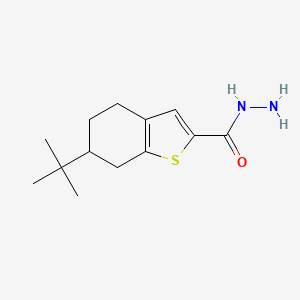 molecular formula C13H20N2OS B1326607 6-叔丁基-4,5,6,7-四氢-1-苯并噻吩-2-甲酰肼 CAS No. 956576-54-8