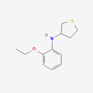 molecular formula C12H17NOS B13266598 N-(2-ethoxyphenyl)thiolan-3-amine 