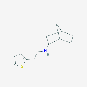 molecular formula C13H19NS B13266877 N-[2-(Thiophen-2-yl)ethyl]bicyclo[2.2.1]heptan-2-amine CAS No. 1249784-86-8