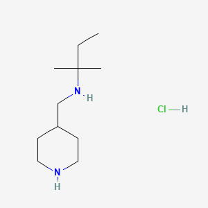 molecular formula C11H25ClN2 B13266956 (2-Methylbutan-2-yl)(piperidin-4-ylmethyl)aminehydrochloride 