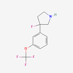molecular formula C11H11F4NO B13267283 3-Fluoro-3-[3-(trifluoromethoxy)phenyl]pyrrolidine 