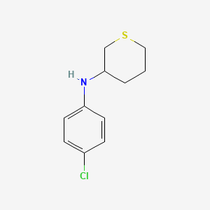molecular formula C11H14ClNS B13267306 N-(4-chlorophenyl)thian-3-amine 