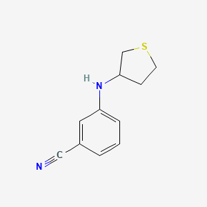 molecular formula C11H12N2S B13267384 3-[(Thiolan-3-yl)amino]benzonitrile 
