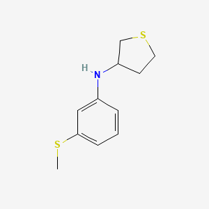 molecular formula C11H15NS2 B13267408 N-[3-(methylsulfanyl)phenyl]thiolan-3-amine 
