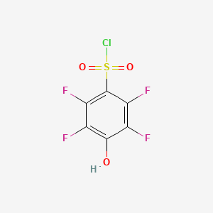 molecular formula C6HClF4O3S B13267926 2,3,5,6-Tetrafluoro-4-hydroxybenzene-1-sulfonyl chloride 