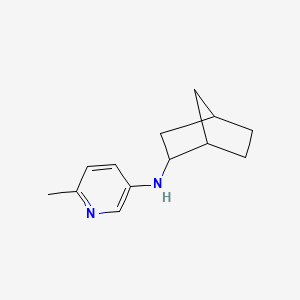 molecular formula C13H18N2 B13267972 N-{bicyclo[2.2.1]heptan-2-yl}-6-methylpyridin-3-amine 