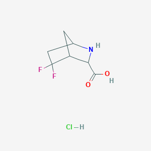 molecular formula C7H10ClF2NO2 B13268013 5,5-Difluoro-2-azabicyclo[2.2.1]heptane-3-carboxylic acid hydrochloride 