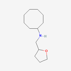 molecular formula C13H25NO B13268209 N-(oxolan-2-ylmethyl)cyclooctanamine CAS No. 869944-85-4