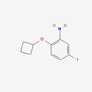 molecular formula C10H12INO B13268231 2-Cyclobutoxy-5-iodoaniline 