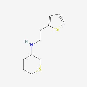 molecular formula C11H17NS2 B13268347 N-[2-(Thiophen-2-yl)ethyl]thian-3-amine 
