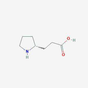 molecular formula C7H13NO2 B13268518 3-[(2R)-Pyrrolidin-2-yl]propanoic acid 