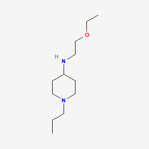 molecular formula C12H26N2O B13270752 N-(2-ethoxyethyl)-1-propylpiperidin-4-amine 