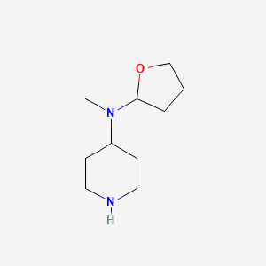 molecular formula C10H20N2O B1327095 N-甲基-N-(四氢呋喃-2-基)哌啶-4-胺 CAS No. 1142210-63-6