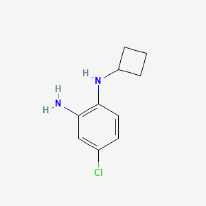 molecular formula C10H13ClN2 B13270959 4-chloro-1-N-cyclobutylbenzene-1,2-diamine 