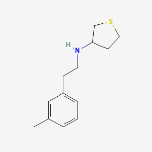 molecular formula C13H19NS B13271018 N-[2-(3-methylphenyl)ethyl]thiolan-3-amine 